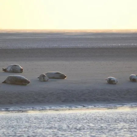 Kemping Les Garennes