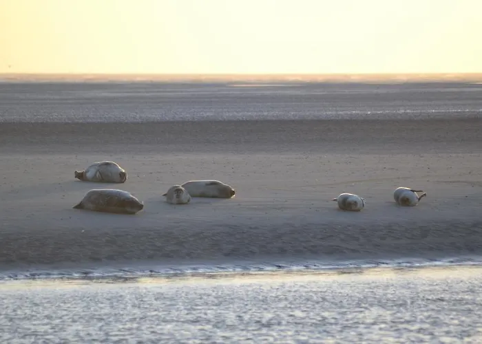 Camping Les Garennes